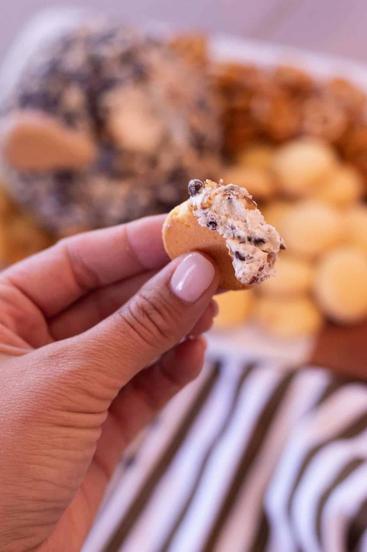 Chocolate Chip Cheeseball on a cookie in hand