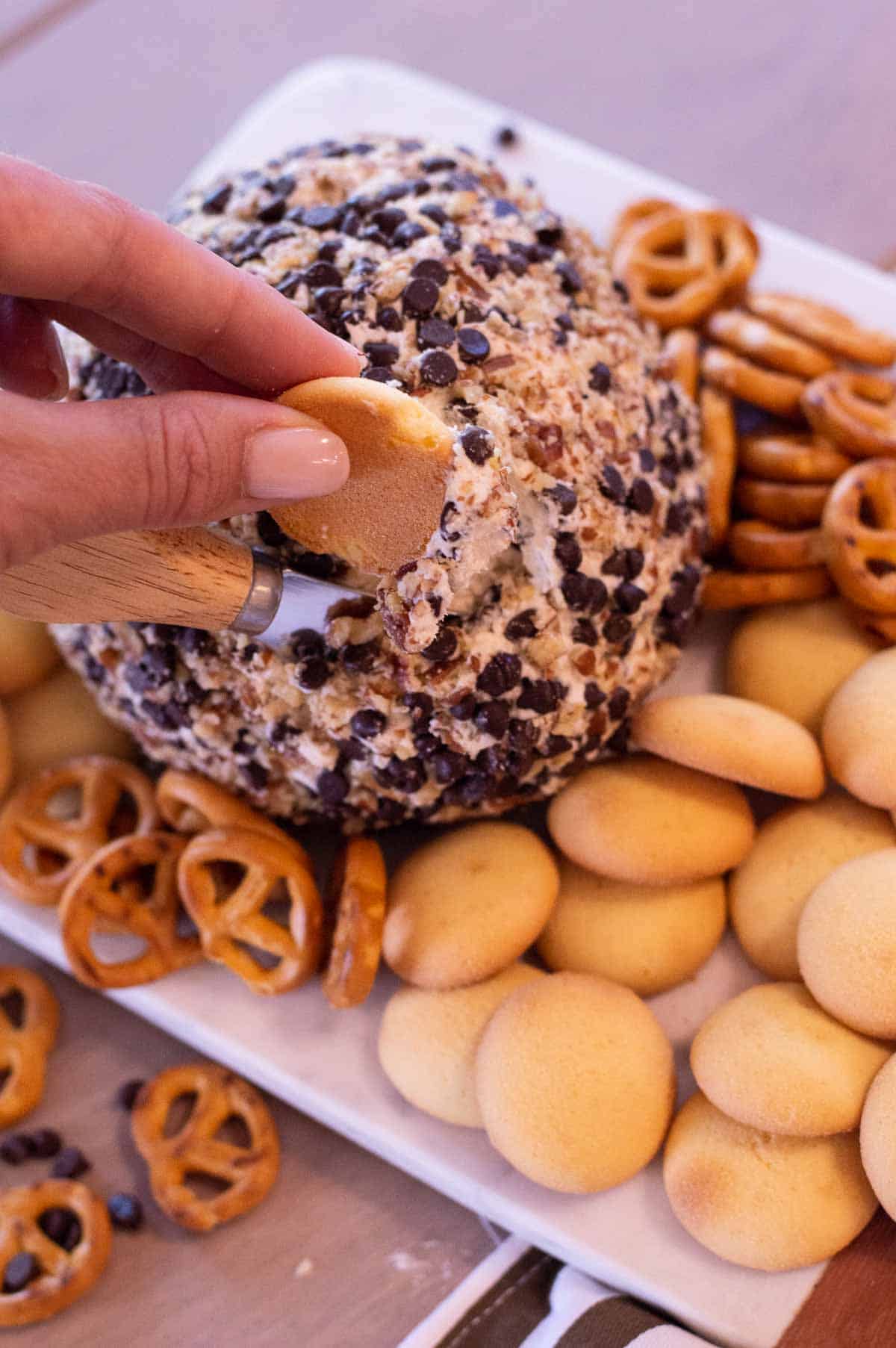 Chocolate Chip Cheeseball being dipped with cookie