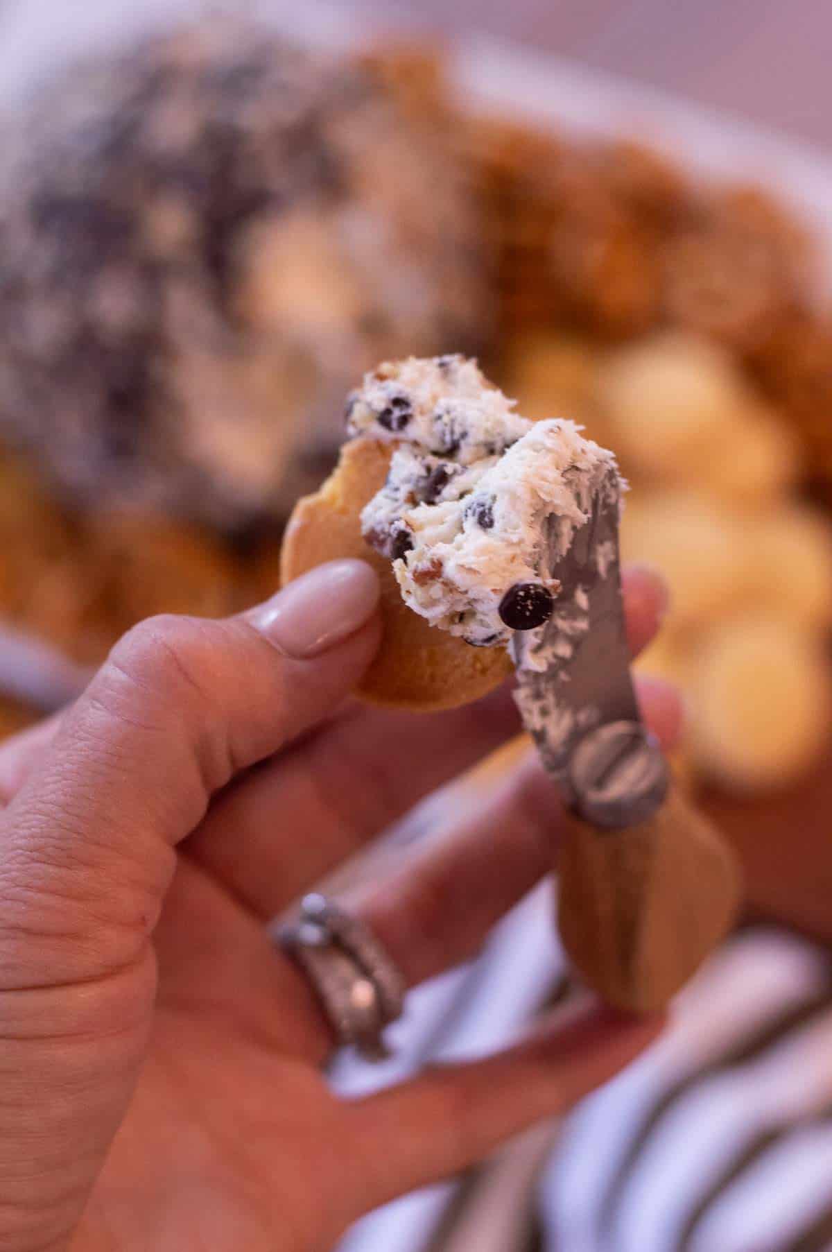 Chocolate Chip Cheeseball on a cookie in a hand