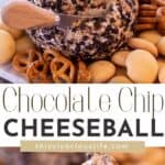 Chocolate Chip Cheeseball pin