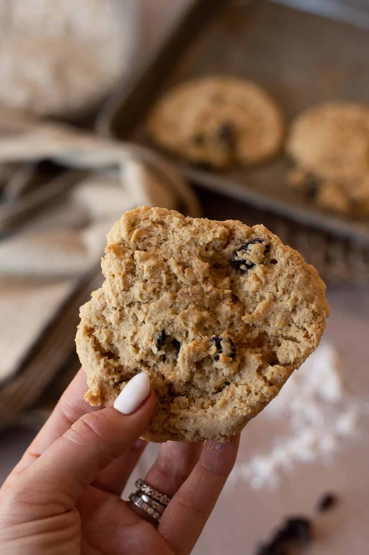 Vegan Oatmeal Raisin Cookies in a hand
