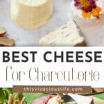 Best Cheese for Charcuterie pin