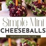 Mini Cheeseballs with Pretzel Toothpicks pin