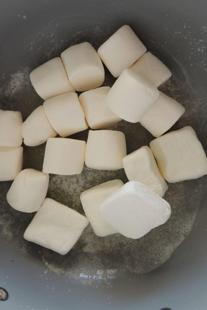 Are marshmallows dairy free in a pot