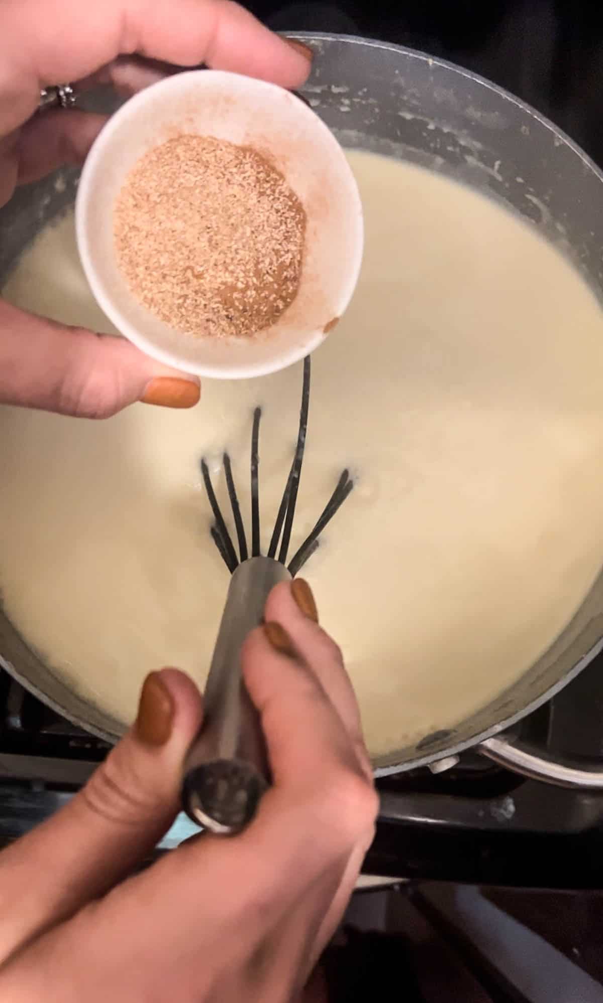 Non Alcoholic Eggnog Recipe being made with spices being stirred in