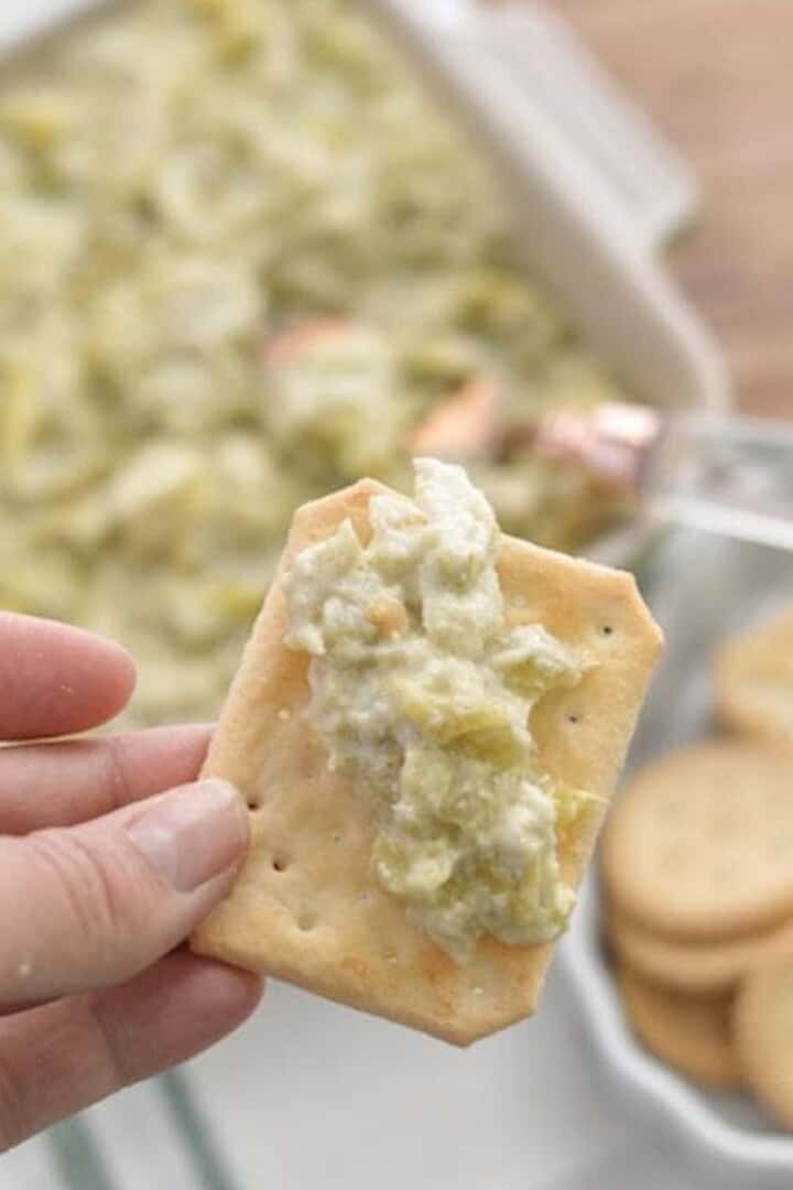 cracker in hand with artichoke dip