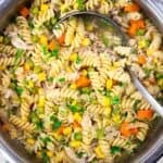 gluten free chicken noodle soup in a pot with a ladle