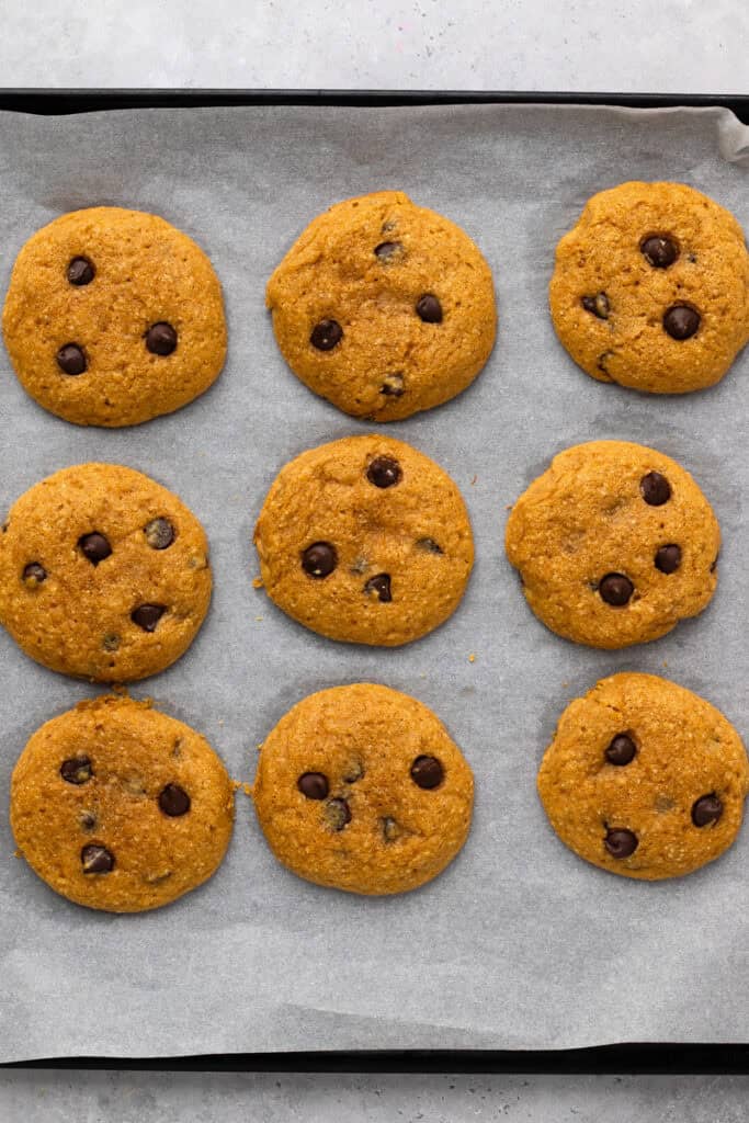 Soft Gluten Free Pumpkin Cookies with Chocolate Chips one a tray baked