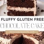 The BEST Gluten Free Chocolate Cake slice cut out, frosted and on a plate with the whole cake in the background. Pinterest pin style image.